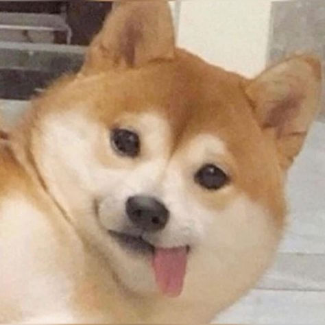 Ngô Đức Anh (bdjrj.lens) Lens social identity (.lens handle) PFP