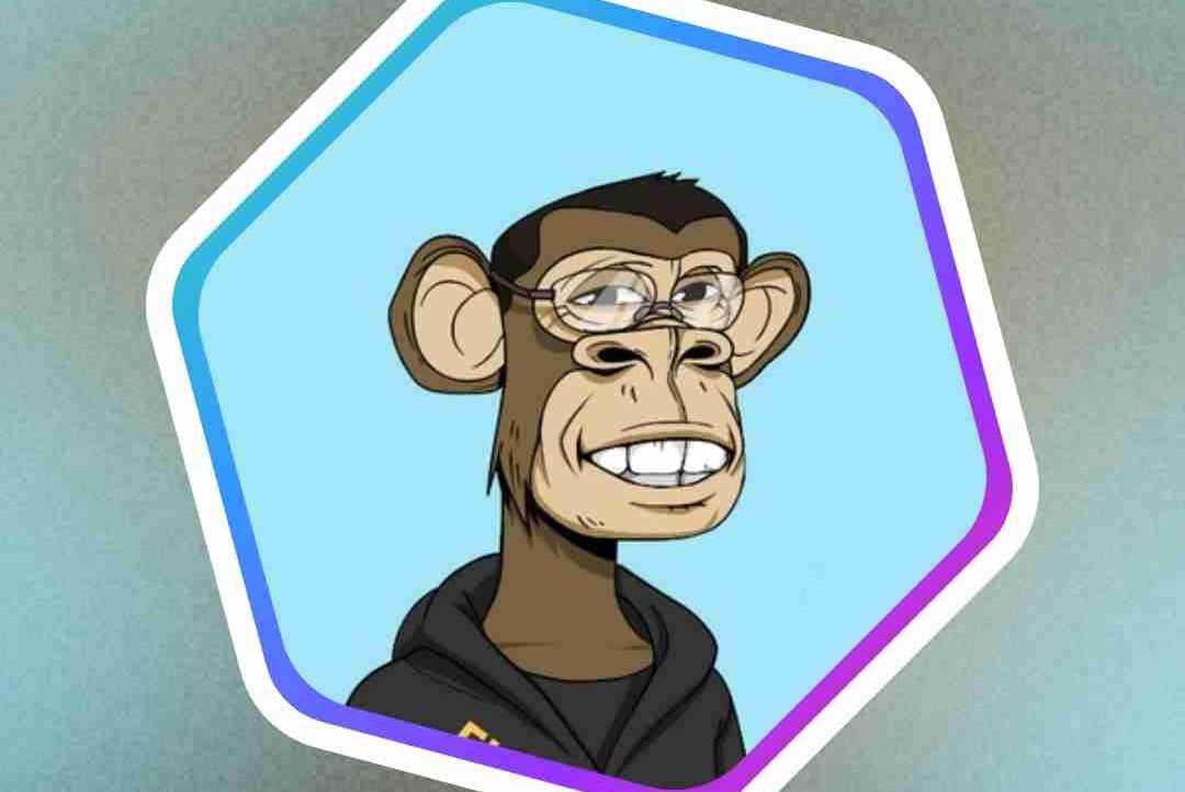 andre2015047's Lens avatar