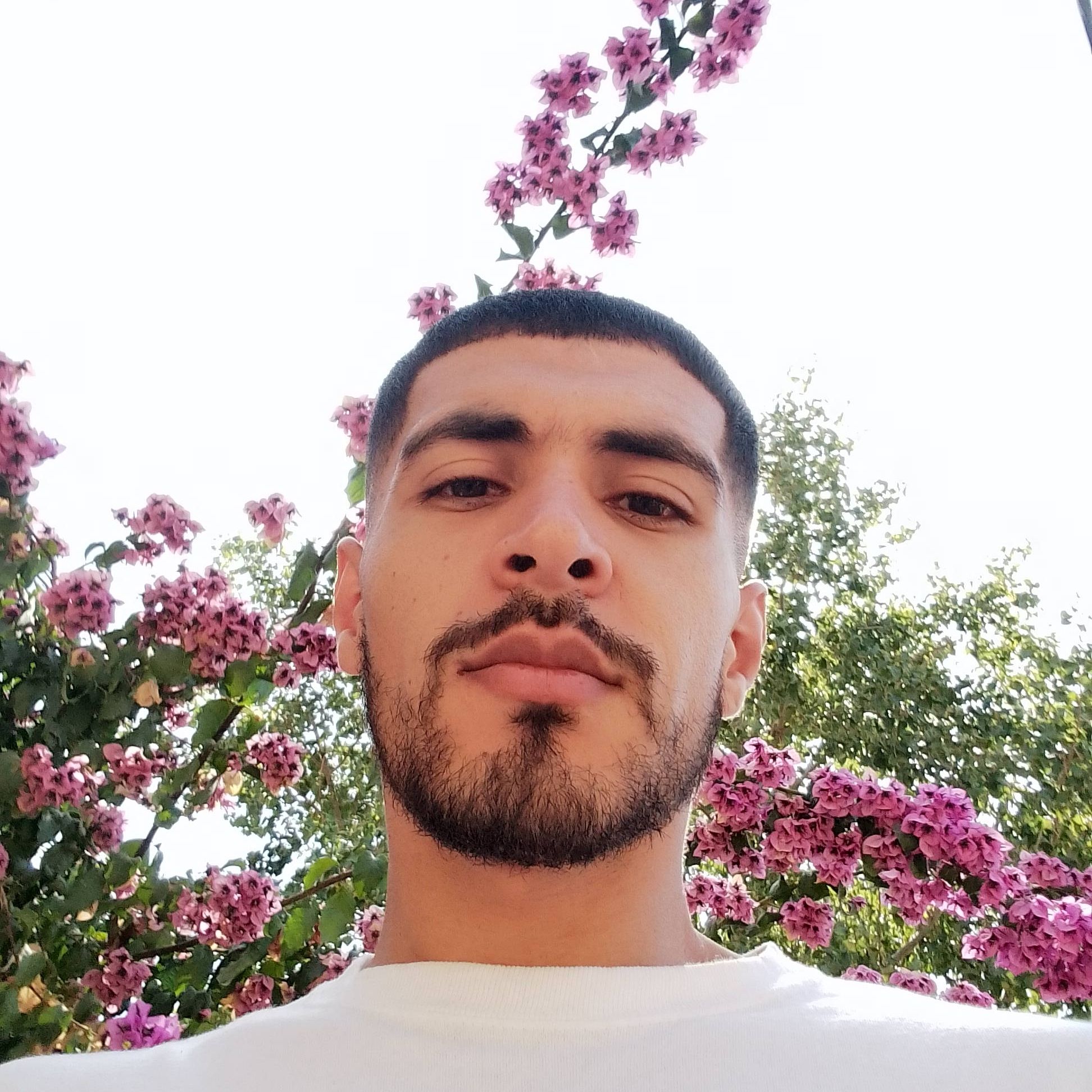mokhtar4r's Lens avatar