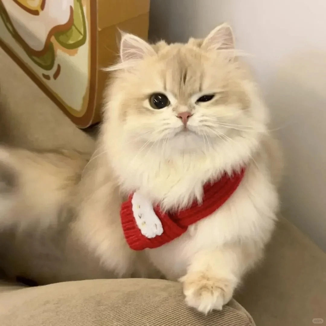 mariana (marianase.lens) Lens social identity (.lens handle) PFP