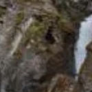 quarc (quarc.lens) Lens social identity (.lens handle) PFP