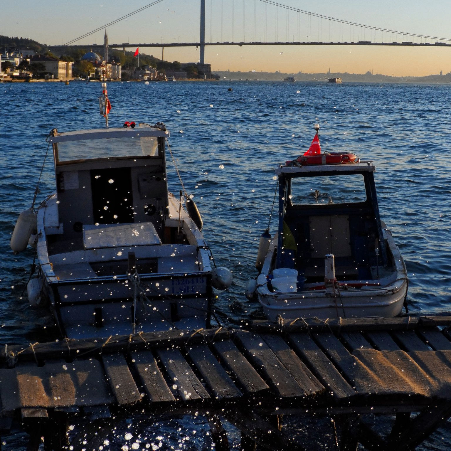 linda (sanmarino.lens) Lens social identity (.lens handle) PFP