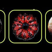 Sabohi (sabohimaqsood.lens) Lens social identity (.lens handle) PFP