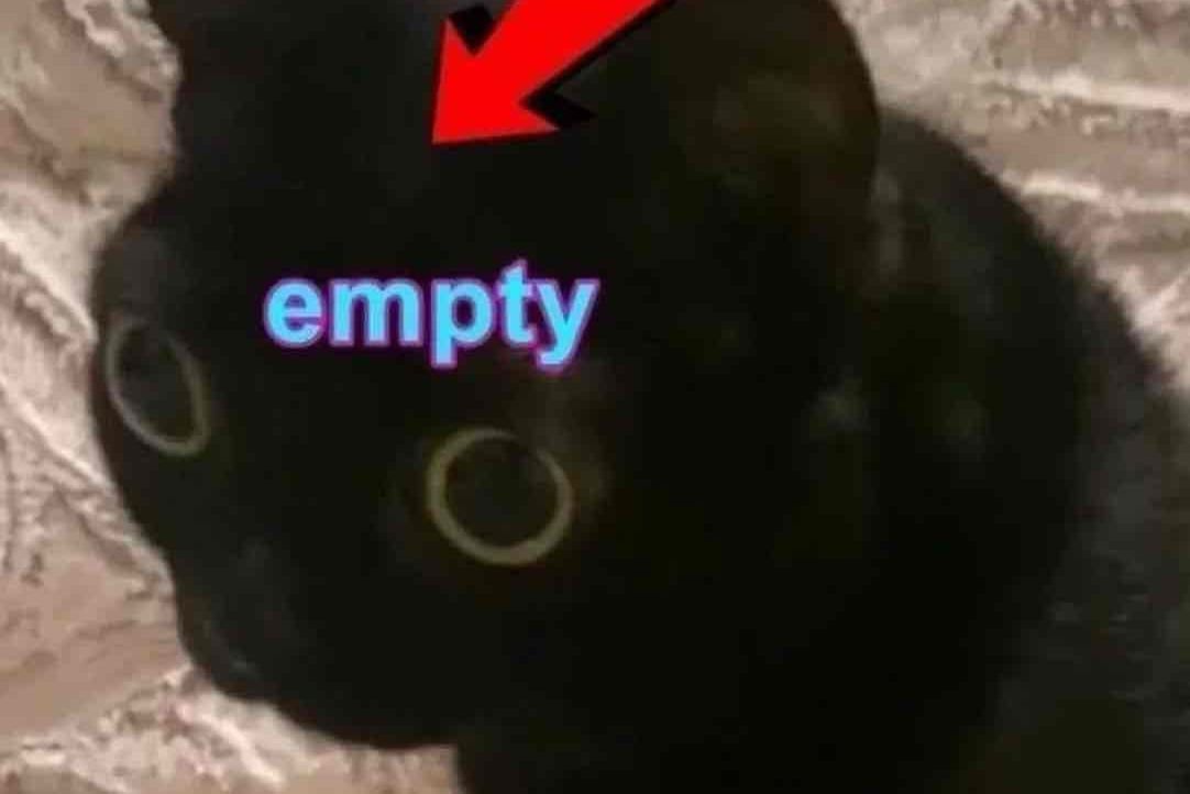 Negative's Lens avatar
