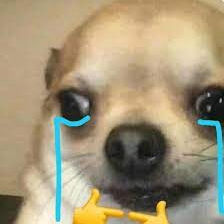 HPhuc (luckyp.lens) Lens social identity (.lens handle) PFP