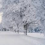 sehrgut (sehrgut.lens) Lens social identity (.lens handle) PFP