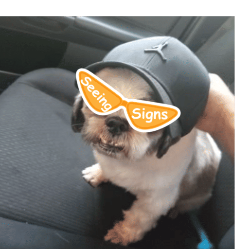 Bong05 (bong0528.lens) Lens social identity (.lens handle) PFP