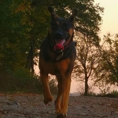 katgo88 (katgo88.lens) Lens social identity (.lens handle) PFP