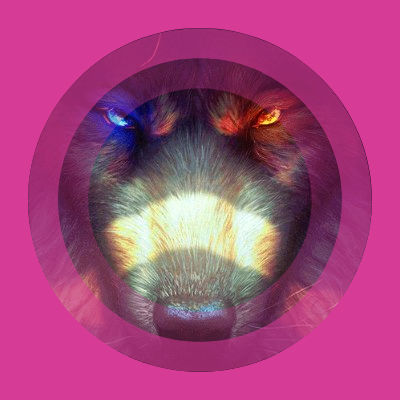 Sergei Graywolf (princecharming.lens) Lens social identity (.lens handle) PFP