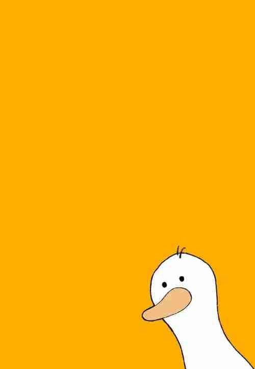 yurtyek's Lens avatar