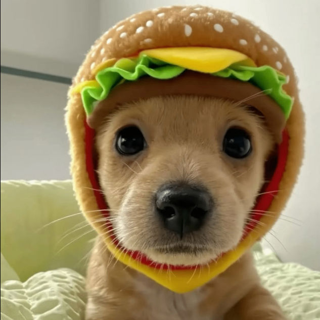 fullmental (gangrena.lens) Lens social identity (.lens handle) PFP