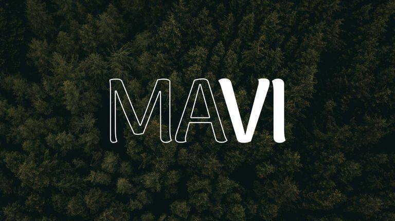 Viswanath Bodasakurthi (viswabnath.lens) Lens social identity (.lens handle) PFP