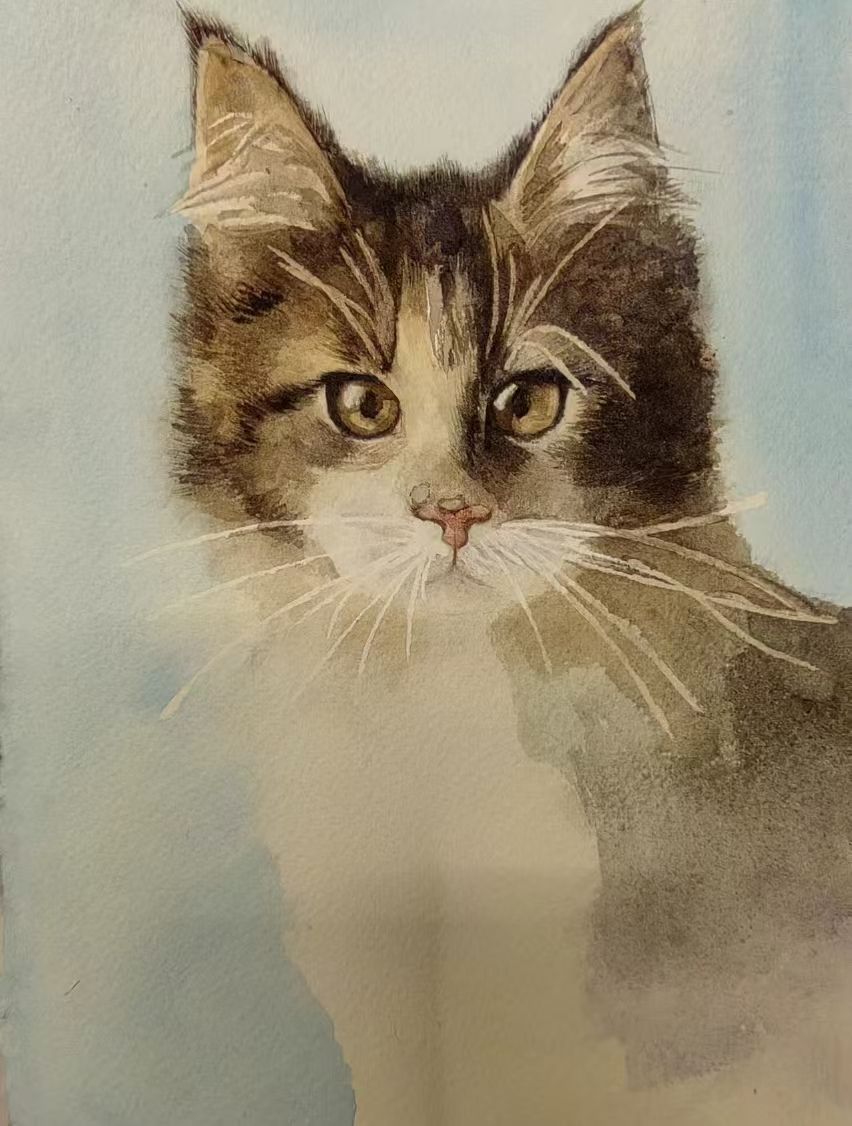 birch (birch.lens) Lens social identity (.lens handle) PFP