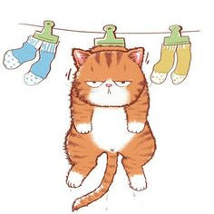 Đinh Quốc Cường (jsksiu.lens) Lens social identity (.lens handle) PFP