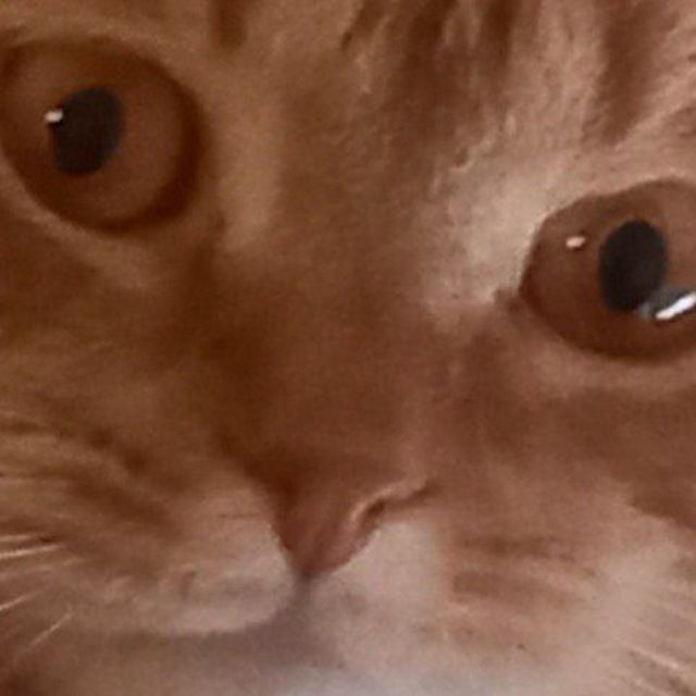 aetas69.lens's Lens avatar
