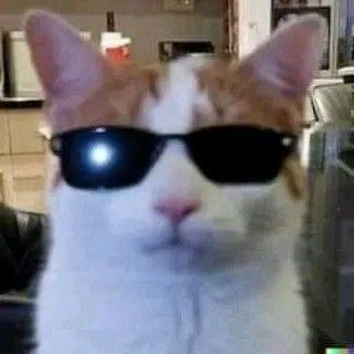 dave's Lens avatar