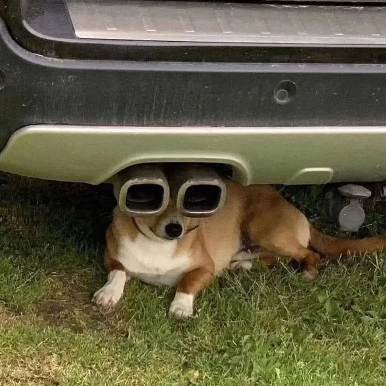 daleyza (daleyzara.lens) Lens social identity (.lens handle) PFP