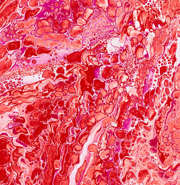 Acrylic pour of crimson and rose over blush white, cells opening like scattered petals