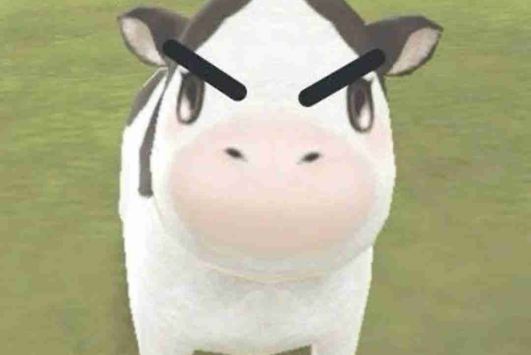 Boisitinh's Lens avatar
