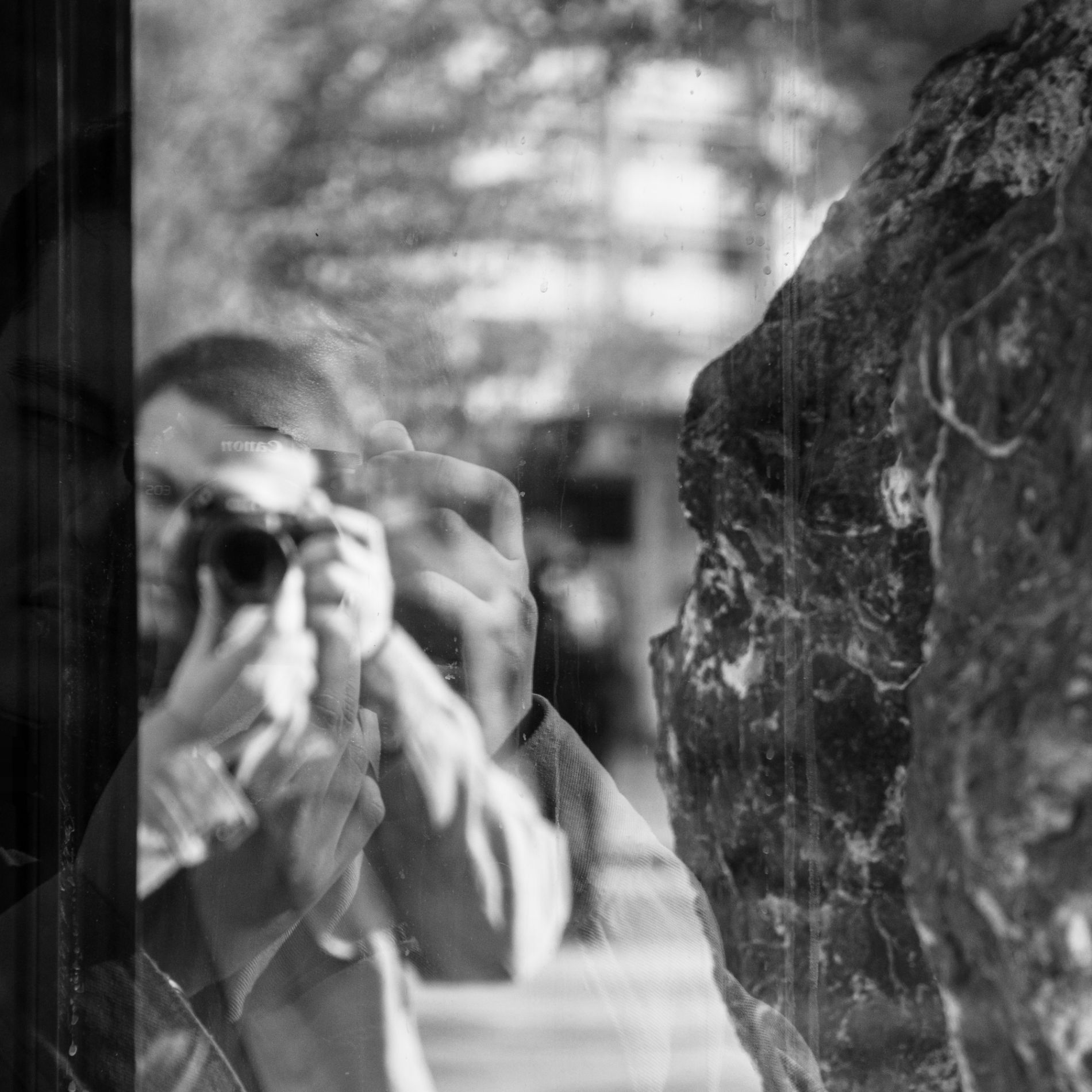 P O P O's Lens avatar
