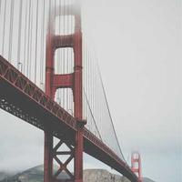 yansi818.lens Lens social identity (.lens handle) PFP