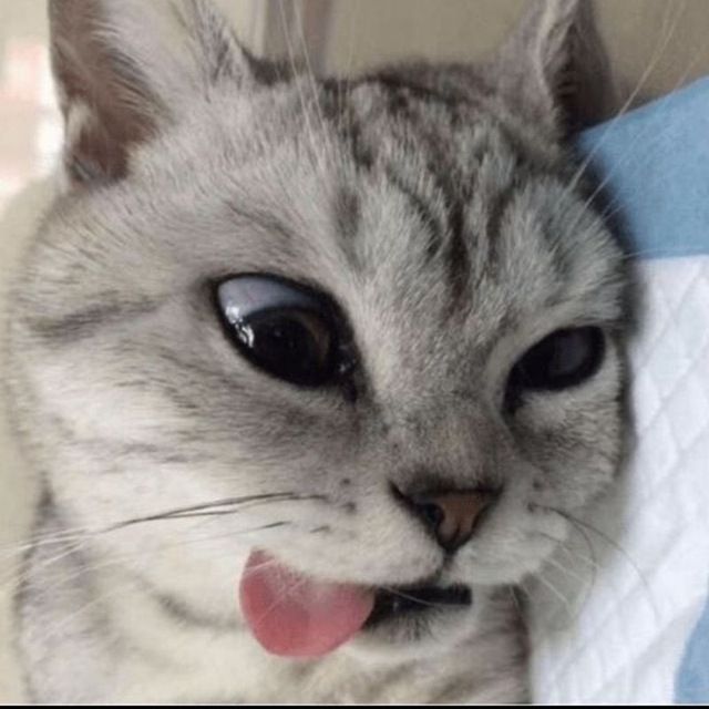 fajri7's Lens avatar