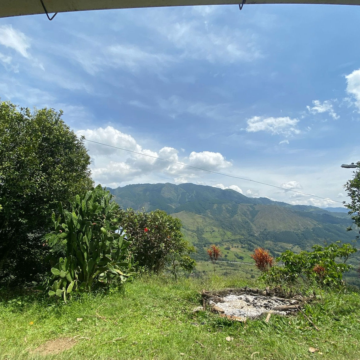 42mariacalderon (mak79.lens) Lens social identity (.lens handle) PFP