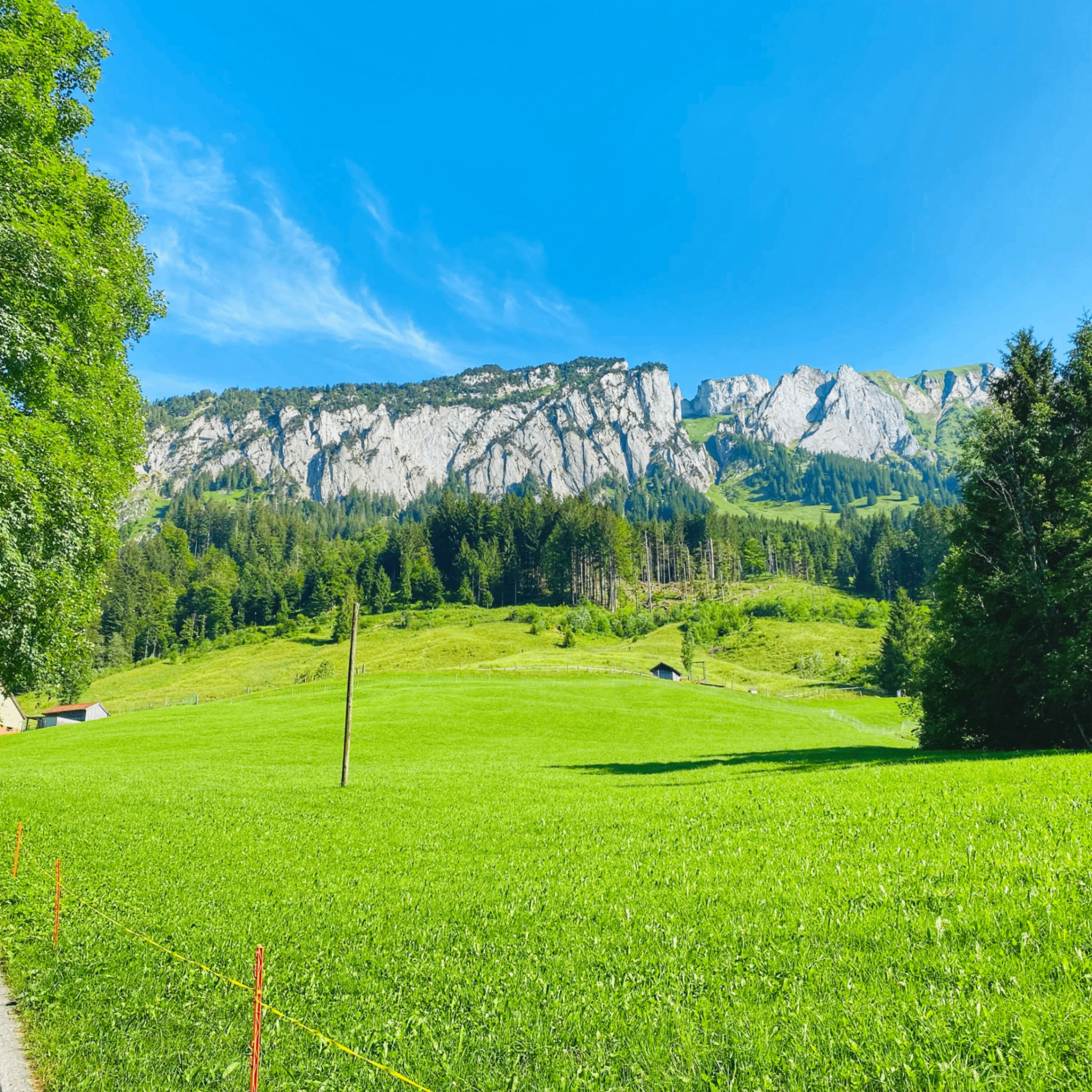 mahoni105 (mahoni105.lens) Lens social identity (.lens handle) PFP