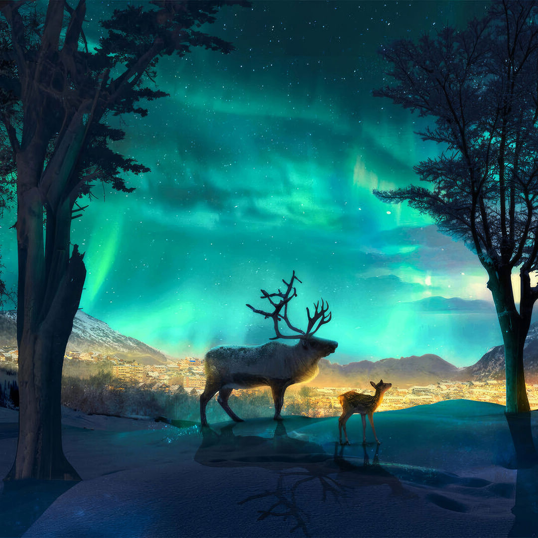 ORHAN (jklgff.lens) Lens social identity (.lens handle) PFP