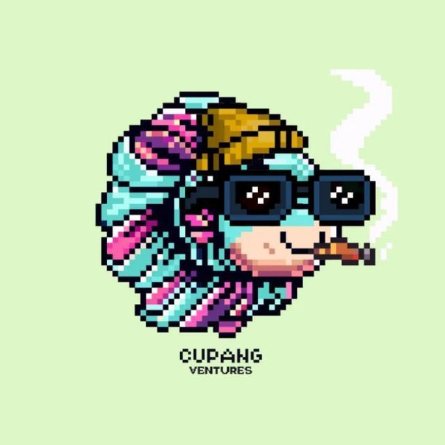 tuanmudafebri's Lens avatar