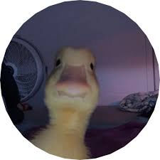 XeroTOP ◱ ◱ (duwuu7.lens) Lens social identity (.lens handle) PFP