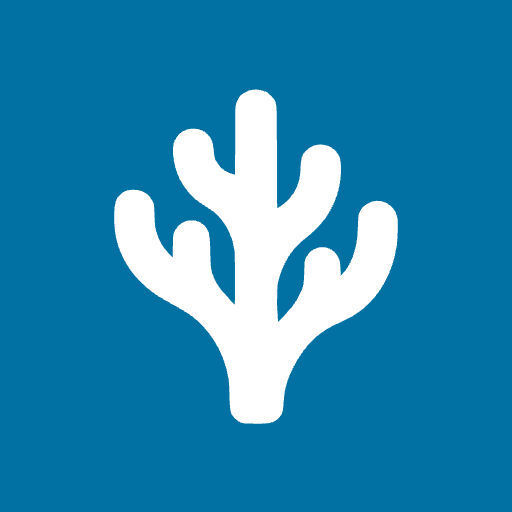Palus's Lens avatar