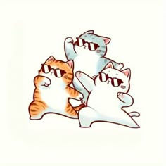 Bui Thien Phu (lpoin.lens) Lens social identity (.lens handle) PFP