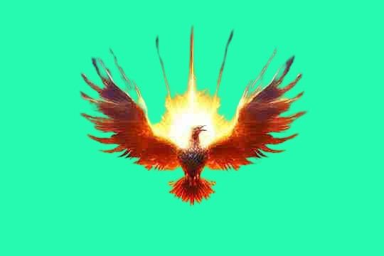 Rising's Lens avatar