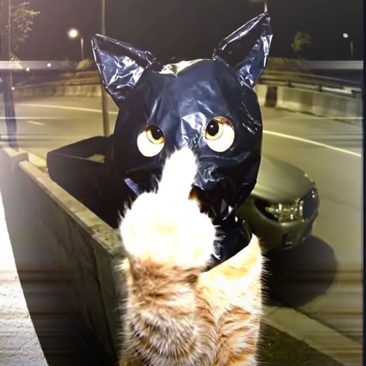 Robert Night's Lens avatar