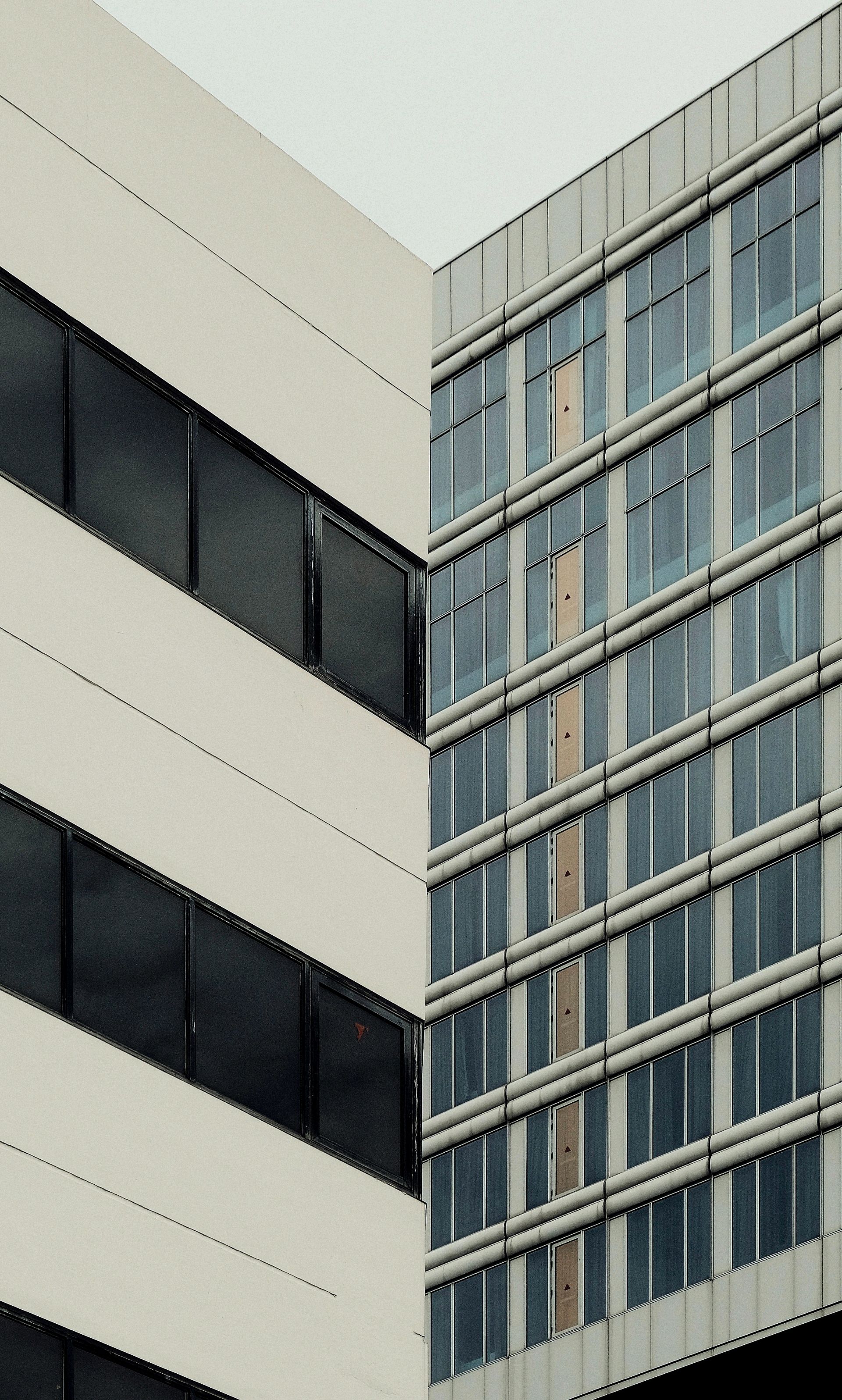 Post image: "Compartmentalizated cut"
π· 2023
*never published before (Lens exclusive)