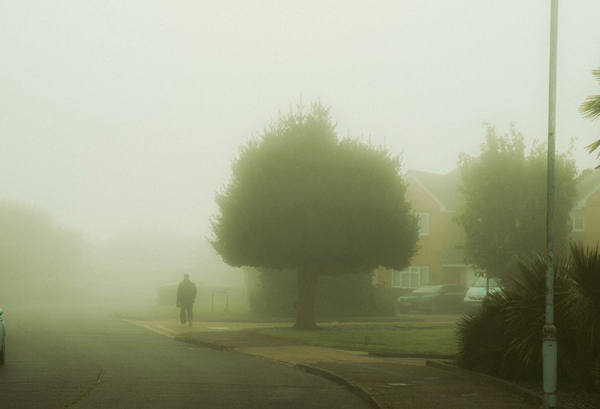 A suburban street in thick fog, a lone figure walking away past a round-crowned tree, houses and parked cars dissolving into grey-green haze