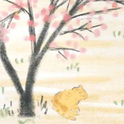 andasfds (andasfds.lens) Lens social identity (.lens handle) PFP