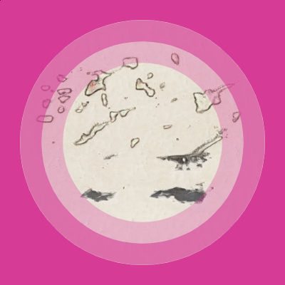 claimme's Lens avatar