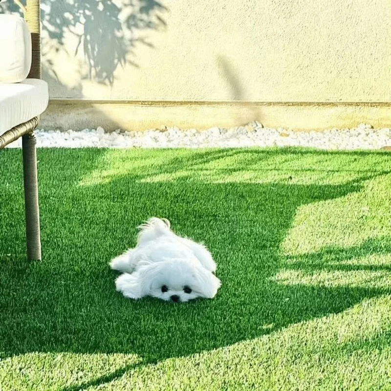 vnjkghbmj (maymag.lens) Lens social identity (.lens handle) PFP