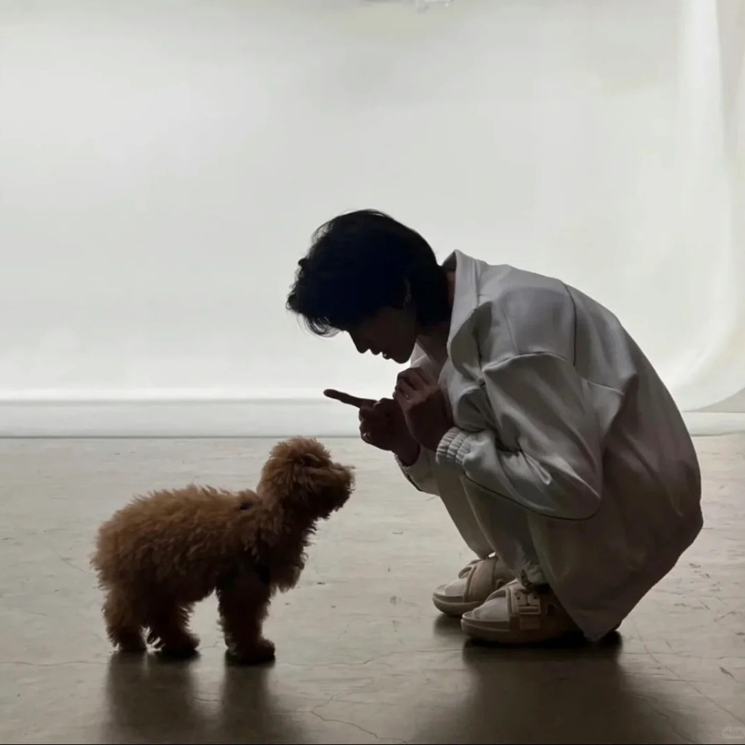 sinsoledade (sinsoledade.lens) Lens social identity (.lens handle) PFP