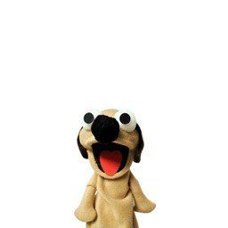 vghuytre (hbvgcxd.lens) Lens social identity (.lens handle) PFP