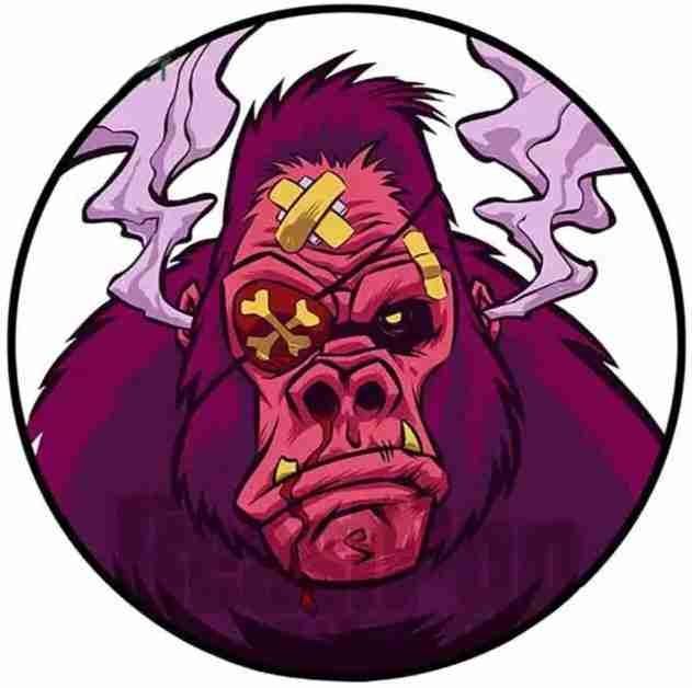 Primal's Lens avatar