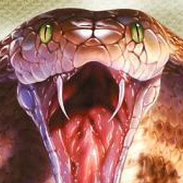 Evseevkirill276 (evseevkirill276.lens) Lens social identity (.lens handle) PFP