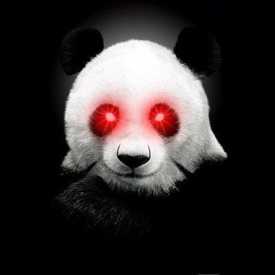 P_and_A (panda1991.lens) Lens social identity (.lens handle) PFP