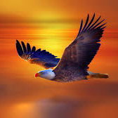 SalminenArvo (owiwwjzbi.lens) Lens social identity (.lens handle) PFP