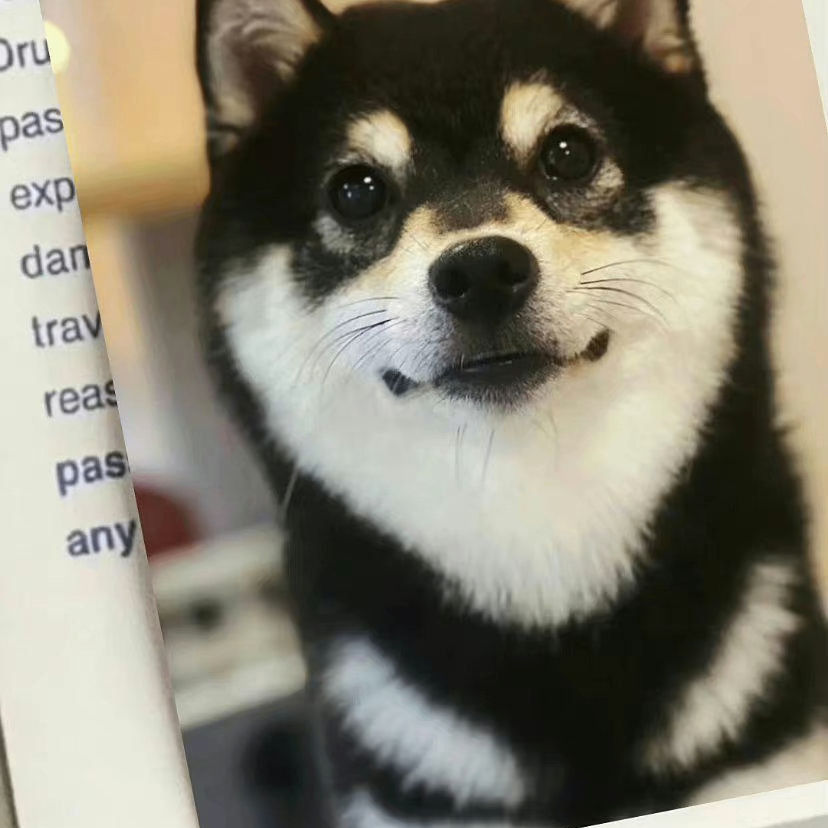 bbdg900.lens Lens social identity (.lens handle) PFP