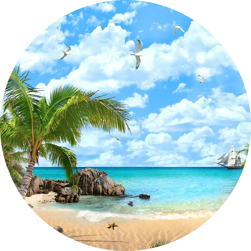 boss's Lens avatar