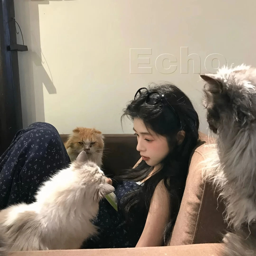 palpitate (palpitateo.lens) Lens social identity (.lens handle) PFP