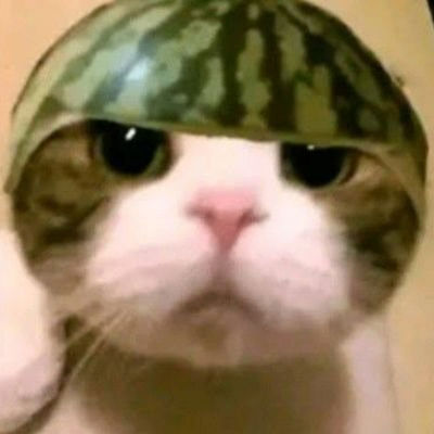 Maraanv (marawaves.lens) Lens social identity (.lens handle) PFP